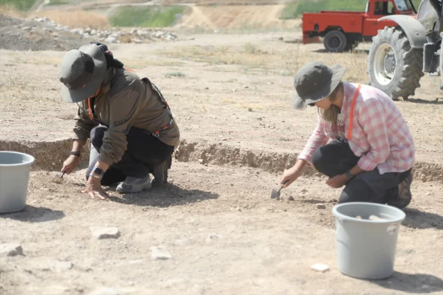 Nerik'te 3 Bin 500 Yıllık Fındık Fosili: Arkeoloji Dünyasında Büyük Keşif