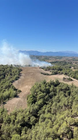 Adana'da Alevler Kontrol Altına Alınmaya Çalışılıyor