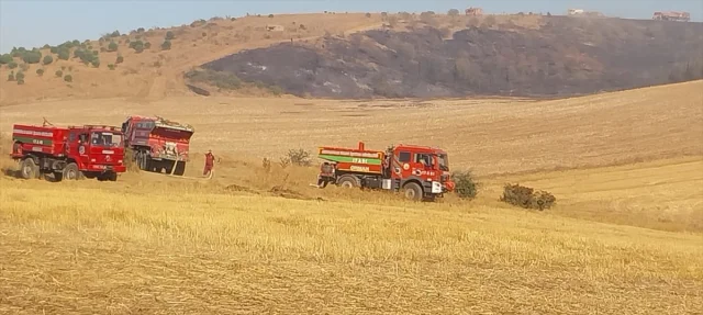 Çanakkale'deki Yangının Sırrı: Tarım Arazileri Tehlikede mi?