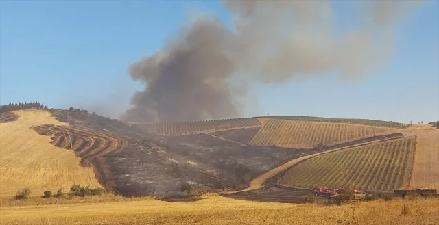 Çanakkale'deki Yangının Sırrı: Tarım Arazileri Tehlikede mi?