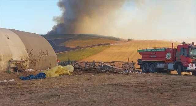 Çanakkale'deki Yangının Sırrı: Tarım Arazileri Tehlikede mi?