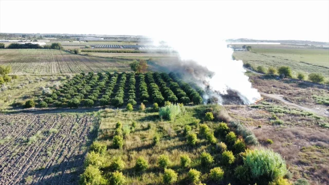 Antalya'da İki Ayrı Yangın Heyecan Yarattı
