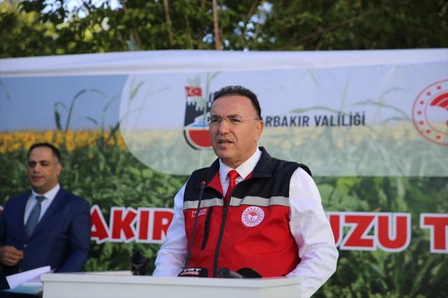 Diyarbakır'ın Dev Karpuzları Festivale Damgasını Vurdu