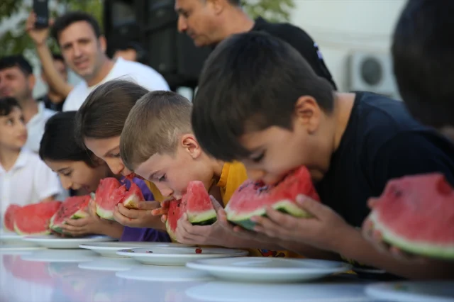 Diyarbakır'ın Dev Karpuzları Festivale Damgasını Vurdu