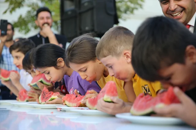 Diyarbakır'ın Dev Karpuzları Festivale Damgasını Vurdu