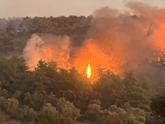 Milas'ta Orman Yangını: Söndürme Çalışmaları Yoğunlaşıyor