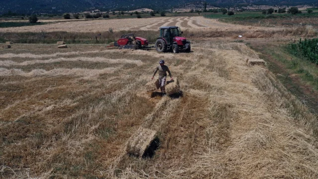 Genç Çift "Köyde Mutluluğu Bulduk" Diyor