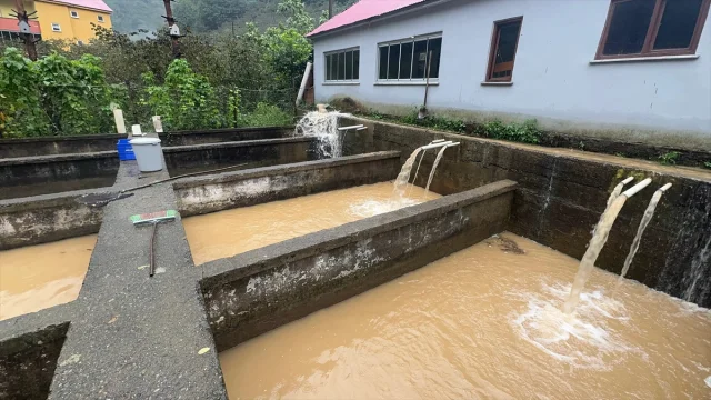 Giresun'da Şiddetli Sağanak: Hayatı Felç Eden Olayların Detayları