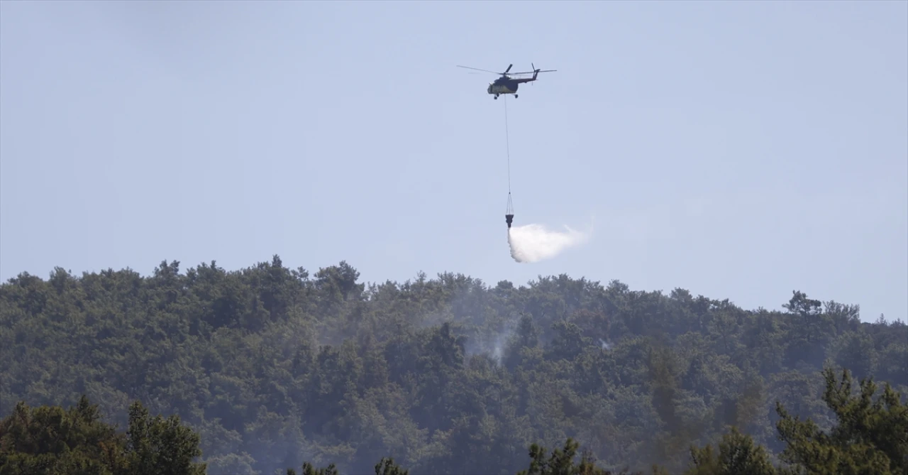 Milas'ta Orman Yangını Büyüyor: Havadan ve Karadan Müdahale Devam Ediyor