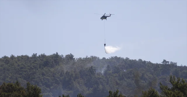Milas'ta Orman Yangını Büyüyor: Havadan ve Karadan Müdahale...