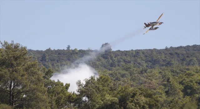 Milas'ta Orman Yangını Büyüyor: Havadan ve Karadan Müdahale Devam Ediyor
