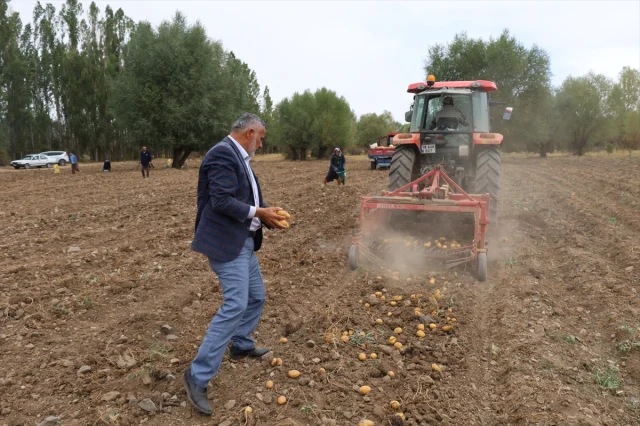 Çankırı'da Atıl Alanlar Patatesle Şenleniyor