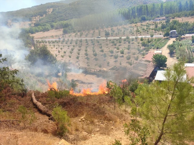 Balıkesir Orman Yangınında Heyecan Dorukta: Müdahale Devam E...