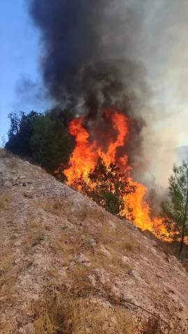 Balıkesir Orman Yangınında Heyecan Dorukta: Müdahale Devam Ediyor