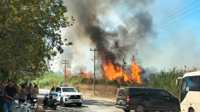 Antalya'nın Kalbi Yandı: Canla Başla Yangın Mücadelesi