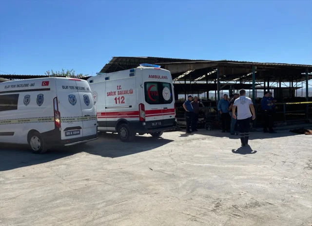 Aydın'da Üzücü Kaza: 3 Yaşındaki Çocuk Süt Kamyonunun Kurbanı Oldu