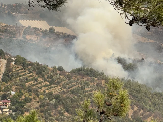 Antalya'da Orman Yangınları: Havadan ve Karadan Hız Kesmeden Müdahale Devam Ediyor