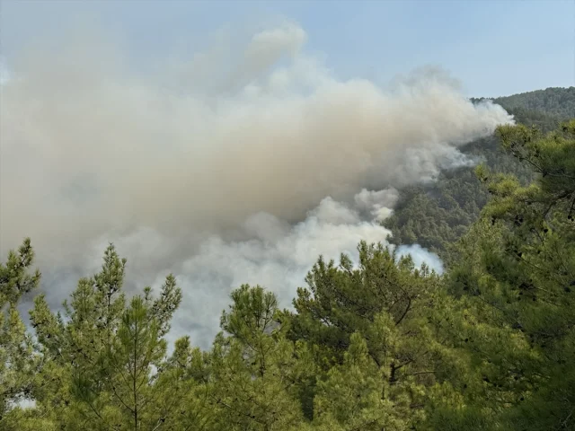 Antalya'da Orman Yangınları: Havadan ve Karadan Hız Kesmeden Müdahale Devam Ediyor