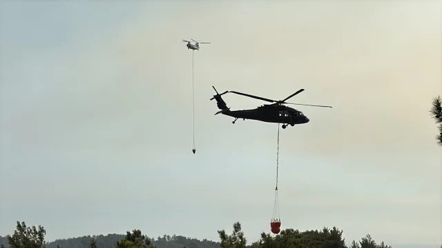 Antalya'da Orman Yangınları: Havadan ve Karadan Hız Kesmeden Müdahale Devam Ediyor