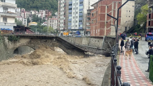 Artvin'deki Tarihi Köprü Neden Çöktü? İşte Nedeni
