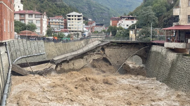 Artvin'deki Tarihi Köprü Neden Çöktü? İşte Nedeni