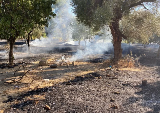 Nazilli'deki Zeytinlik Yangını Yürekleri Ağza Getirdi
