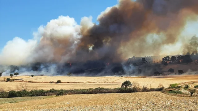 Çanakkale'de Yangın Korkusu Zeytinliklerden Ormana Yayılıyor