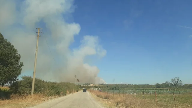 Çanakkale'de Yangın Korkusu Zeytinliklerden Ormana Yayılıyor