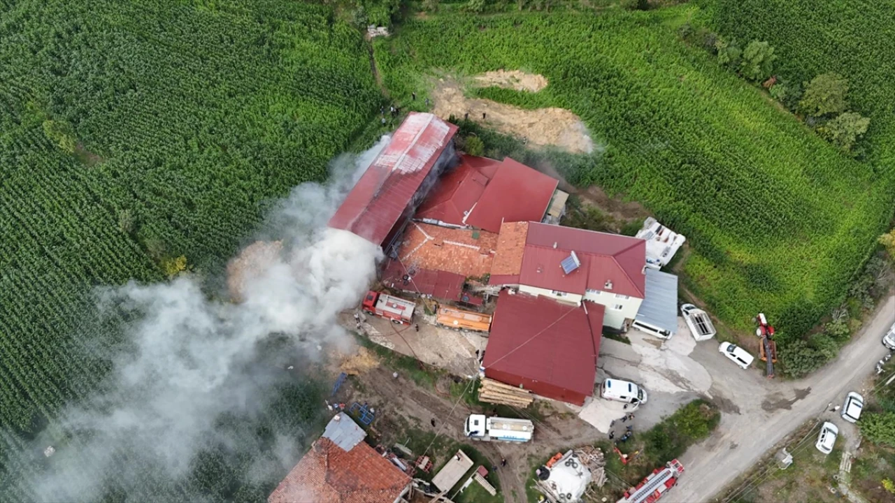 Samsun'un Alaçam İlçesinde Samanlık Yangını Heyecan Yarattı