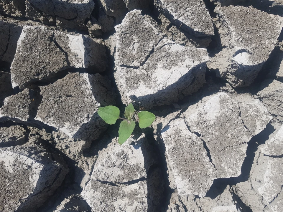 Gaziantep'teki Tahtaköprü Barajı Alarm Veriyor: Su Seviyesi Kritik Düzeyde
