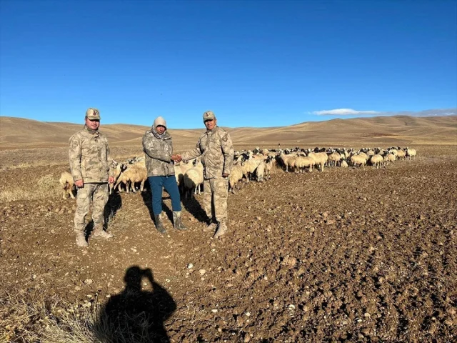 Erzincan’da Kayıp 300 Koyun Teknolojiyle Bulundu