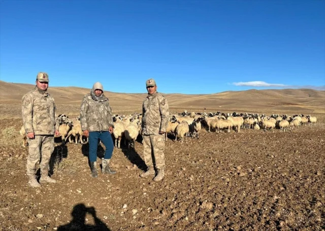 Erzincan’da Kayıp 300 Koyun Teknolojiyle Bulundu