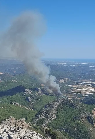 Antalya Serik'te Kundaklama Şüphesi: Orman Yangını Korkutuyo...