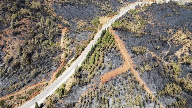Köyceğiz'de Orman Yangını Felaketi Yeni Görüntülerle Ortaya...