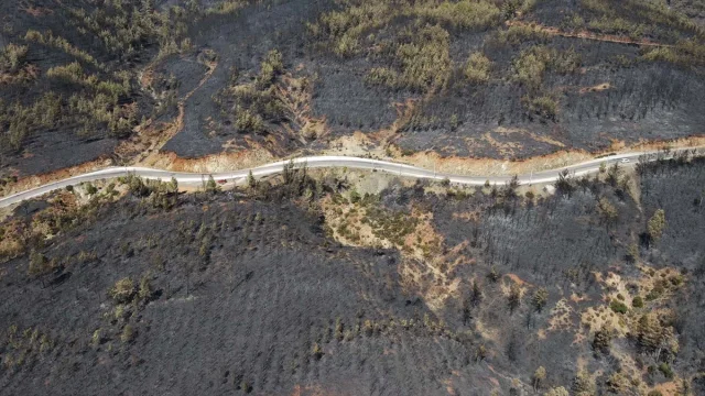 Köyceğiz'de Orman Yangını Felaketi Yeni Görüntülerle Ortaya Çıktı