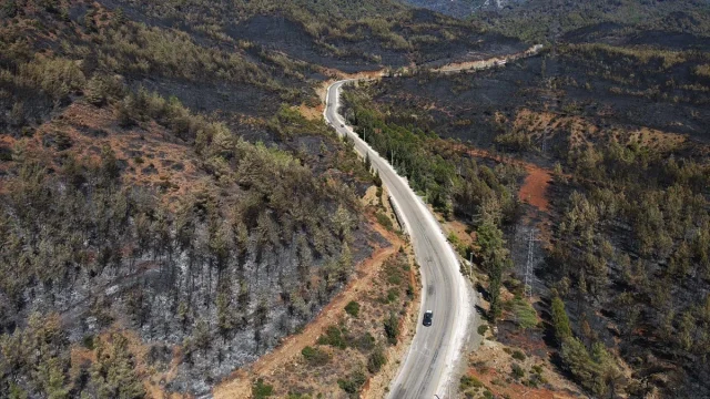 Köyceğiz'de Orman Yangını Felaketi Yeni Görüntülerle Ortaya Çıktı
