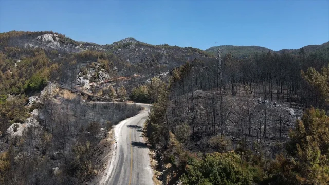 Köyceğiz'de Orman Yangını Felaketi Yeni Görüntülerle Ortaya Çıktı