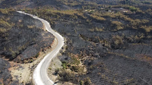 Köyceğiz'de Orman Yangını Felaketi Yeni Görüntülerle Ortaya Çıktı