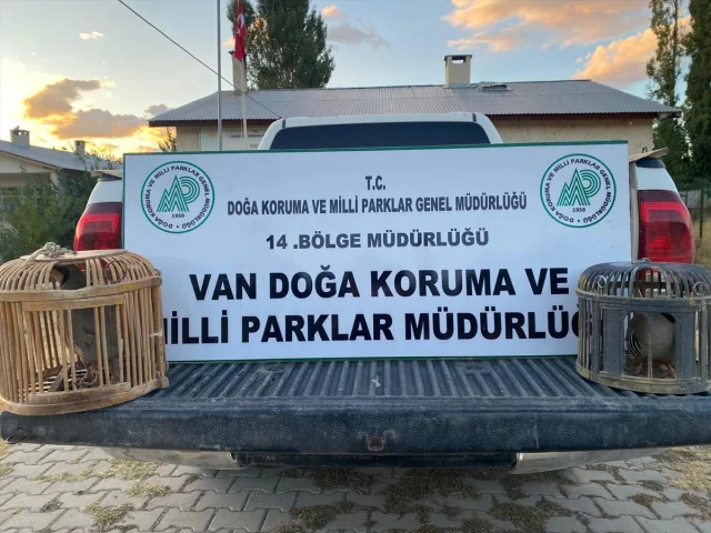 Van'da Kaçak Keklik Avı Drama Dolu Bir Cezayla Sonuçlandı