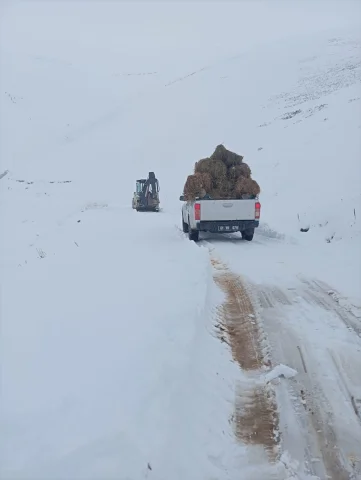 Kar Fırtınası Trabzon Yaylalarını Vurdu: 8 Kişi Ölümden Dönd...