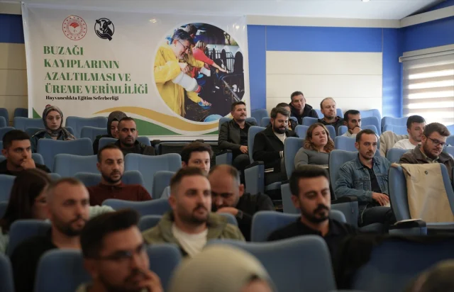 Erzurum'da Başlayan Buzağı Eğitimiyle Tarımda Yeni Dönem