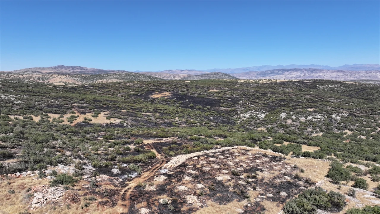 Silvan'da Büyük Yangın Mücadelesi: Rüzgarla Gelen Tehlike Söndürüldü