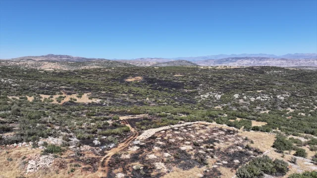 Silvan'da Büyük Yangın Mücadelesi: Rüzgarla Gelen Tehlike Sö...