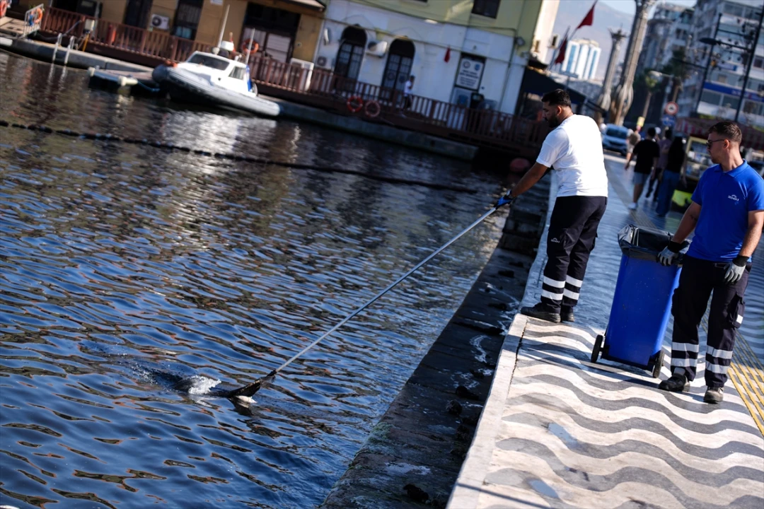 İzmir Körfezi Can Çekişiyor Balık Ölümleri Durmak Bilmiyor