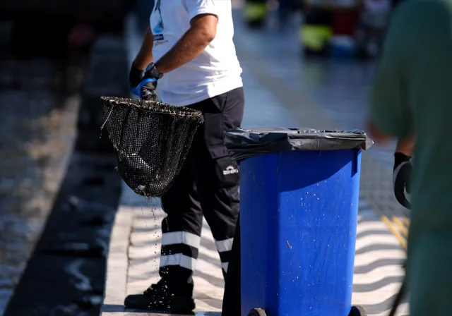 İzmir Körfezi Can Çekişiyor Balık Ölümleri Durmak Bilmiyor