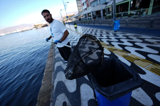 İzmir Körfezi Can Çekişiyor Balık Ölümleri Durmak Bilmiyor