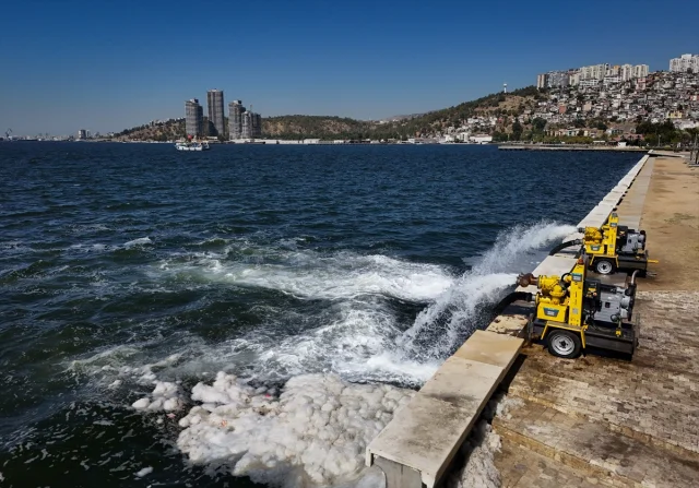İzmir Körfezi Can Çekişiyor Balık Ölümleri Durmak Bilmiyor