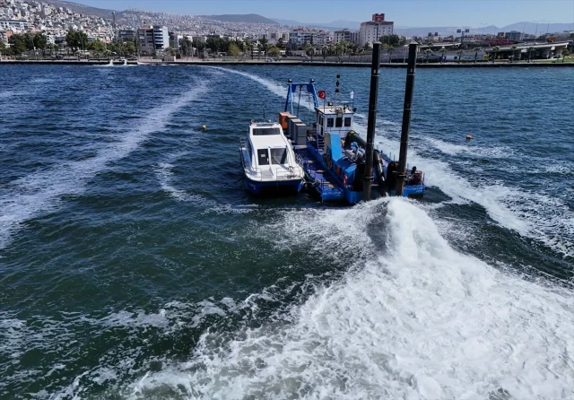 İzmir Körfezi Can Çekişiyor Balık Ölümleri Durmak Bilmiyor