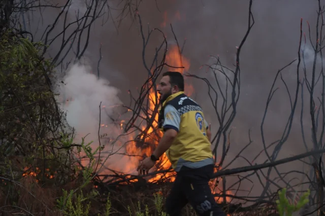 Lazkiye Ormanlarında Alarm Durumu: Yangına Müdahale Edenler...
