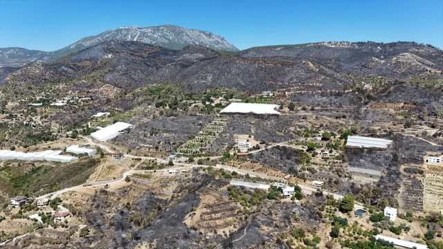 Alanya'yı Küle Çeviren Yangın! Şok Edici Görüntüler Ortaya Ç...